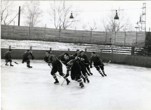 GKobr482 autor Karel Strnad zdroj archiv Karla Guta