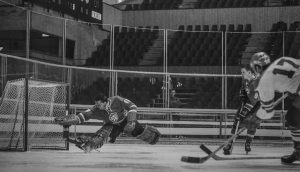 NK673Autor Karel Novák Zdroj ČOV