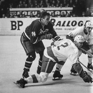 NK462Autor Karel Novák Zdroj ČOV