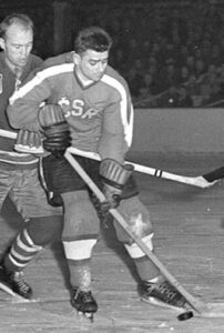 AČH9161Autor Josef Pilmann Zdroj AČH