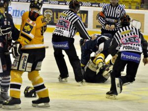 BE028, Autor Edvard D. Beneš, Zdroj Oficiální Stránky HC Verva Litvínov