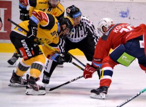 BE046, Autor Edvard D. Beneš, Zdroj Oficiální Stránky HC Verva Litvínov