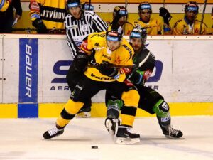 BE054, Autor Edvard D. Beneš, Zdroj Oficiální Stránky HC Verva Litvínov