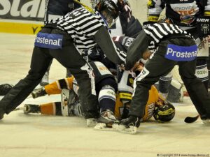 BE058, Autor Edvard D. Beneš, Zdroj Oficiální Stránky HC Verva Litvínov