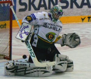 BF060, Autor František Bílek, Zdroj Archiv Františka Bílka72